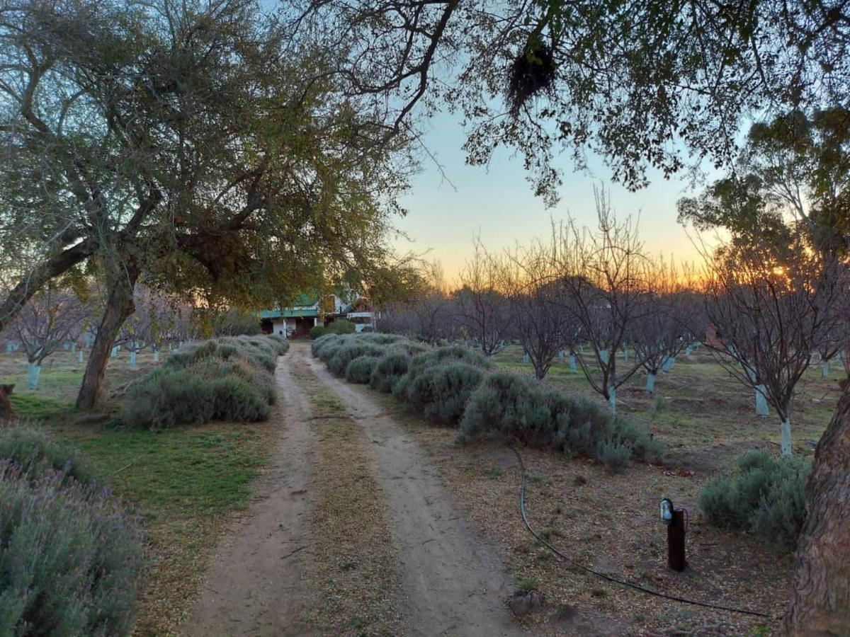Finca La Julia Luyaba Bagian luar foto