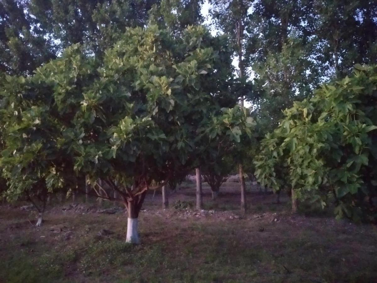 Finca La Julia Luyaba Bagian luar foto