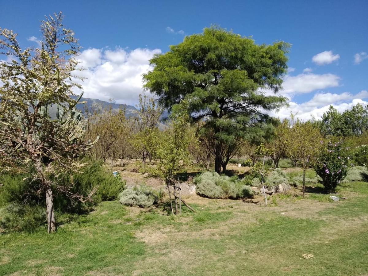 Finca La Julia Luyaba Bagian luar foto