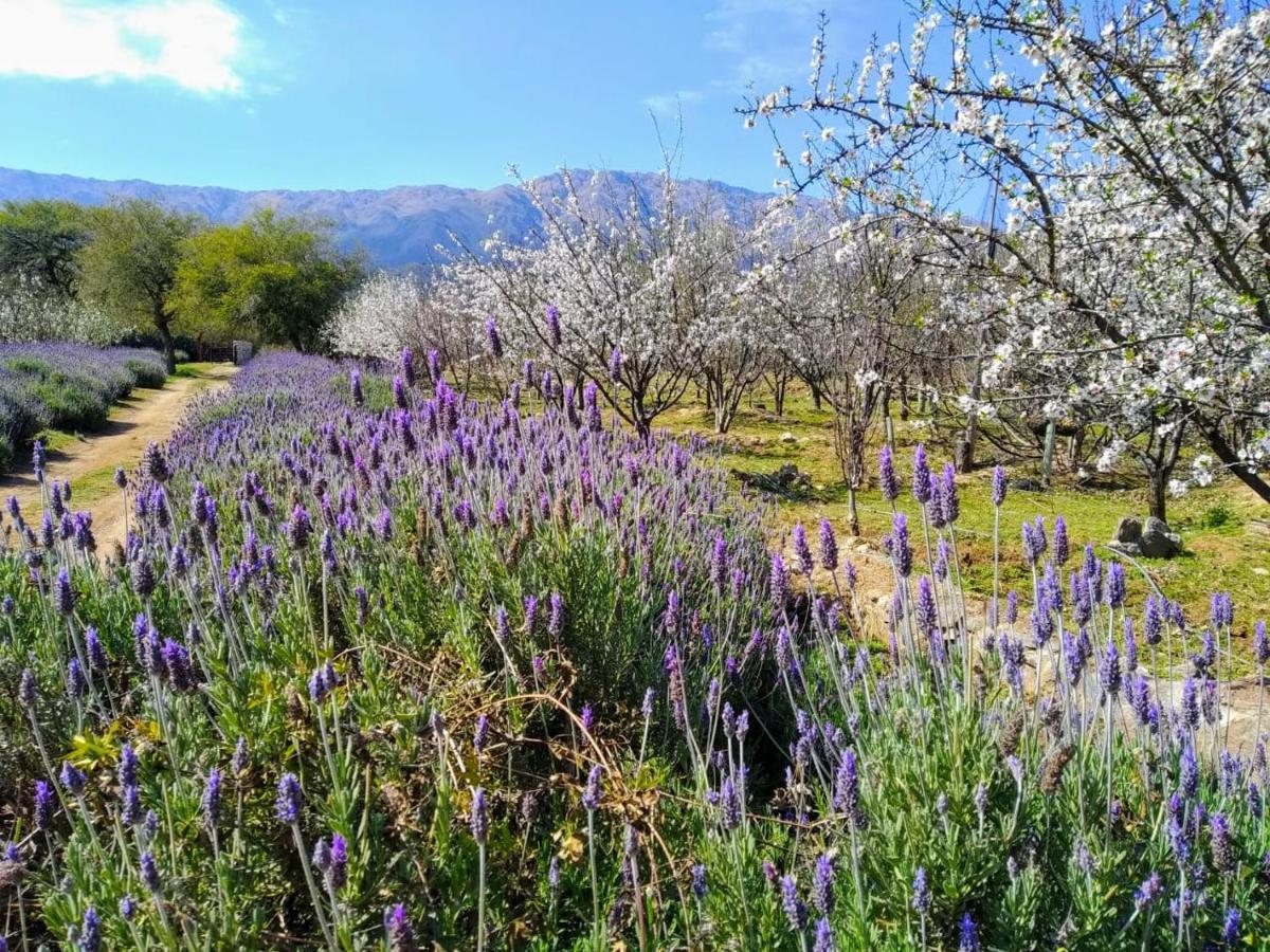 Finca La Julia Luyaba Bagian luar foto