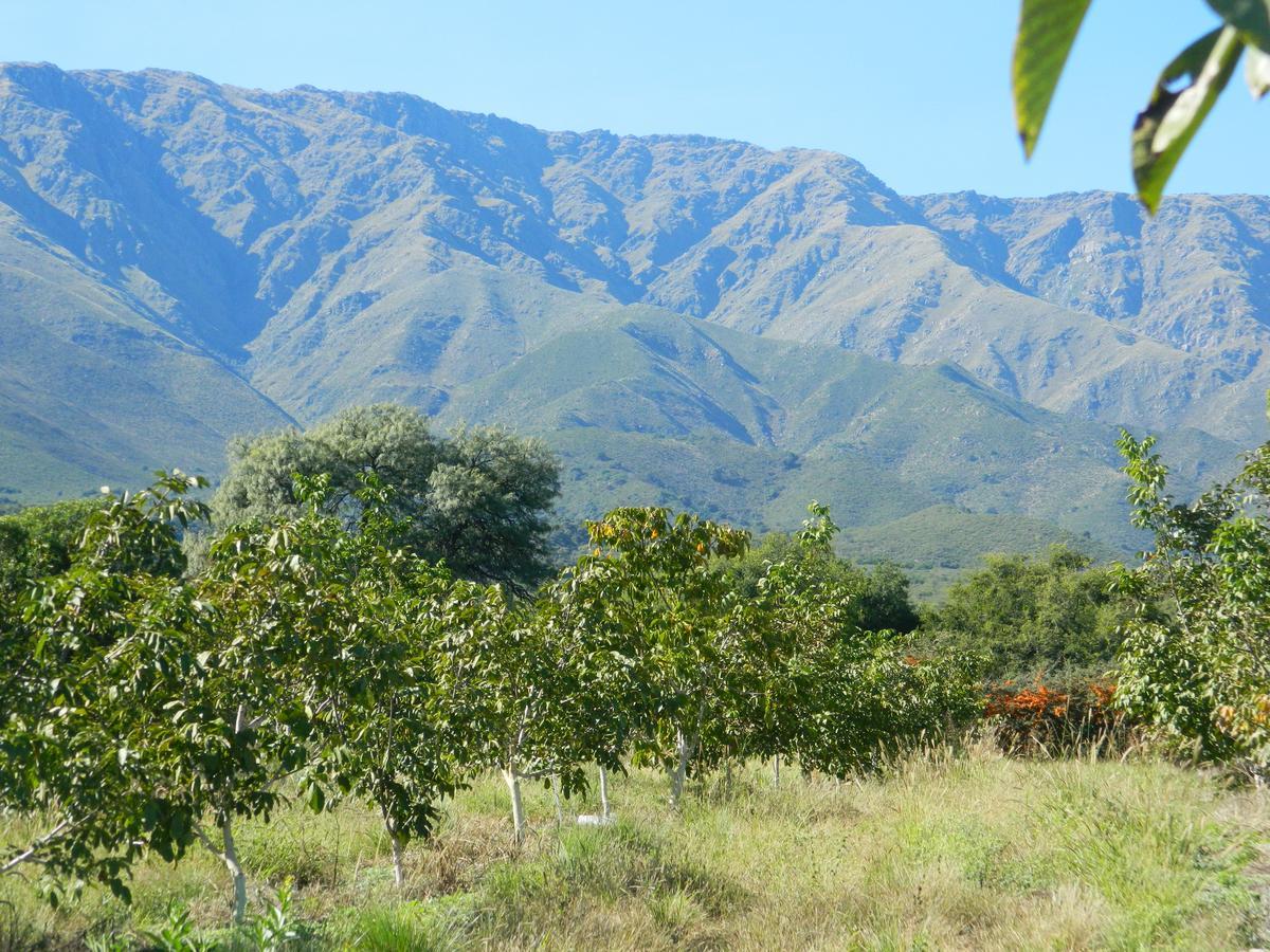 Finca La Julia Luyaba Bagian luar foto
